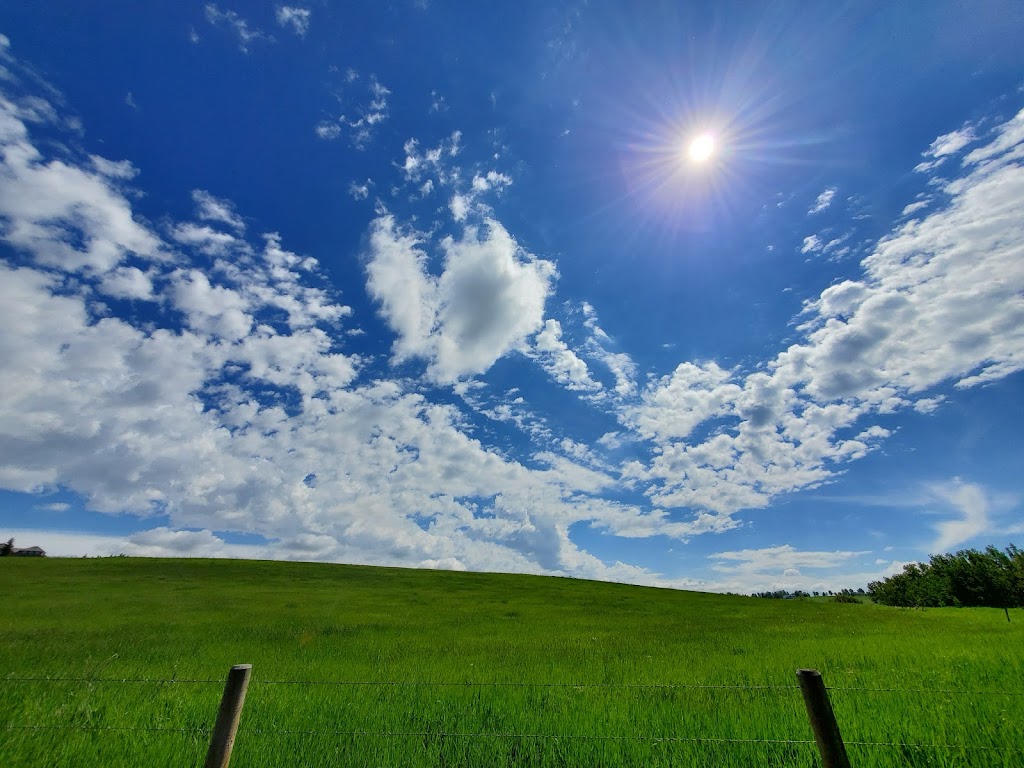 Lloyd Park Disc Golf Course | Foothills County, AB T0L 1W0, Canada | Phone: (403) 256-4113