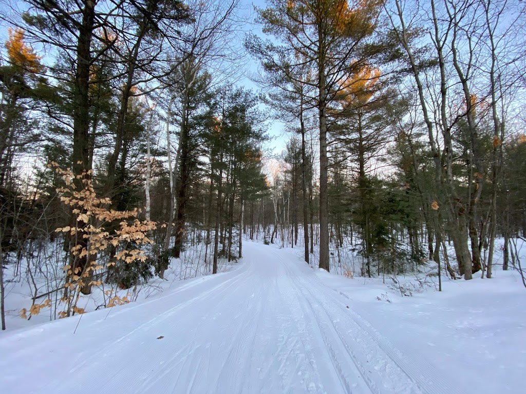 Georgian Nordic Outdoor Activity Centre | 4 Nine Mile Lake Rd, Parry Sound, ON P2A 2W9, Canada | Phone: (705) 746-5067