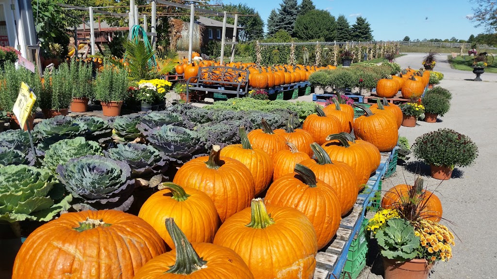 Rock Garden Farms | 16930 Airport Rd, Caledon East, ON L7C 2X1, Canada | Phone: (905) 584-9461