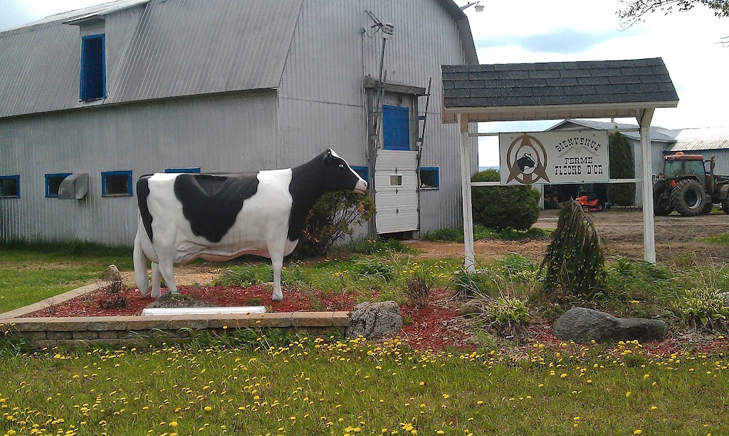 Ferme Flèche Dor | 637-643 12e Rang O, Princeville, QC G6L 4K7, Canada | Phone: (819) 364-5660