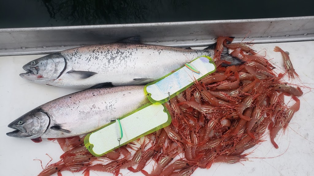 Sidney Fishing Charters - Bon Chovy | 9835 Seaport Pl, Sidney, BC V8L 4X3, Canada | Phone: (604) 306-2619