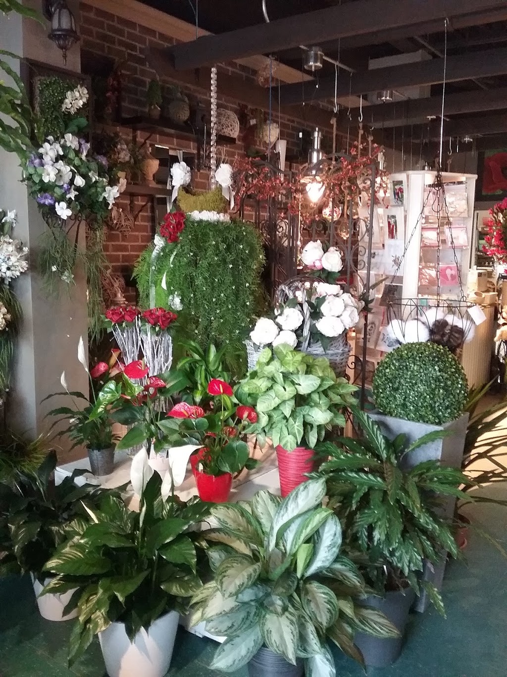 Fleuriste Fleurs de Cactus | 317 Boulevard Sir-Wilfrid-Laurier, Mont-Saint-Hilaire, QC J3H 3N8, Canada | Phone: (450) 464-0340