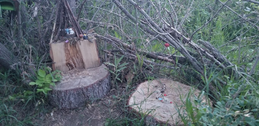 Fairy Ring Trail | Unnamed Road, Edmonton, AB T6A 0B2, Canada