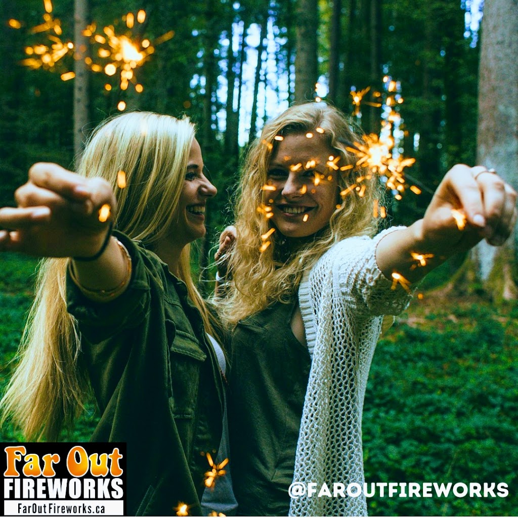 Farout Fireworks | 2601 Alberni Hwy, Coombs, BC V0R 1M0, Canada | Phone: (250) 816-7423