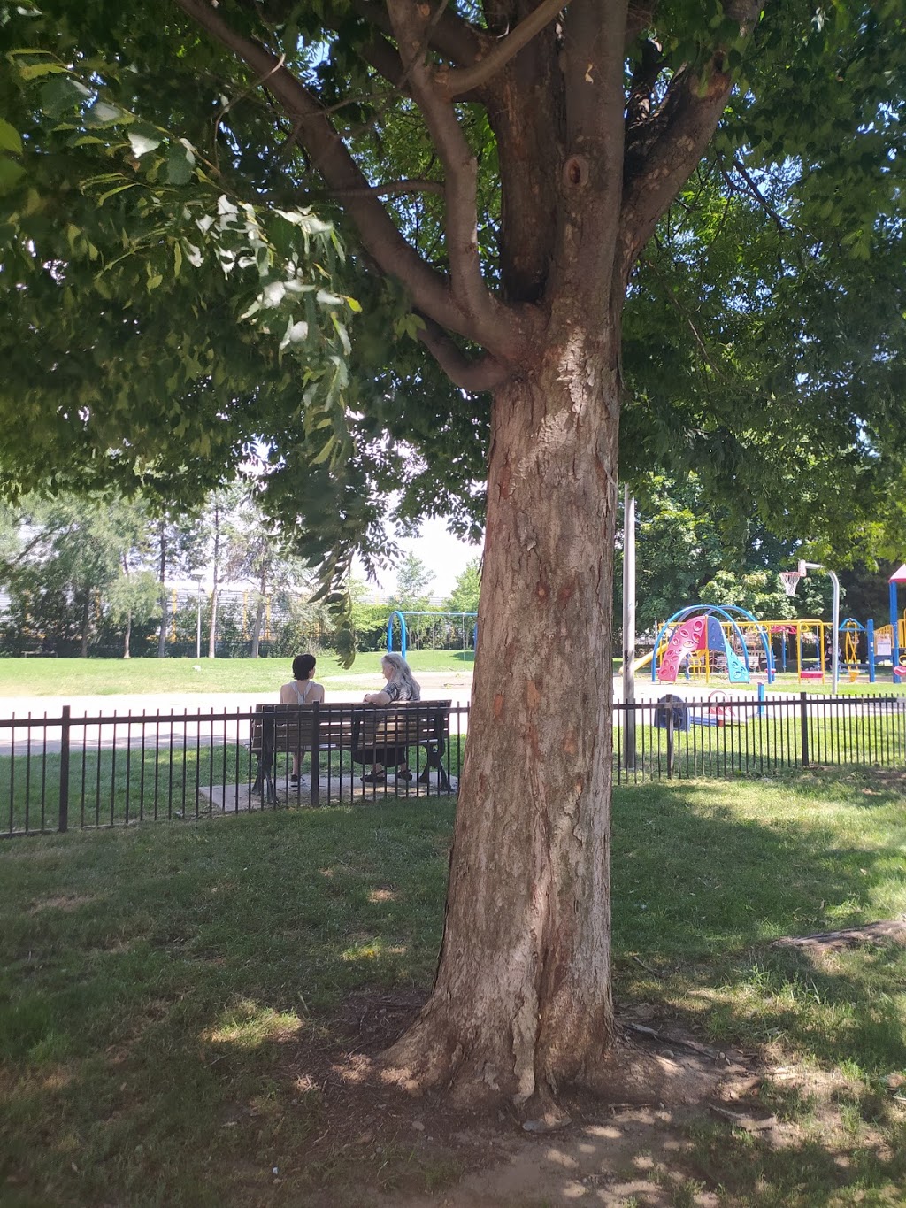 Vine Avenue Playground | 200 Vine Ave, Toronto, ON M6P 1V9, Canada | Phone: (416) 338-4386