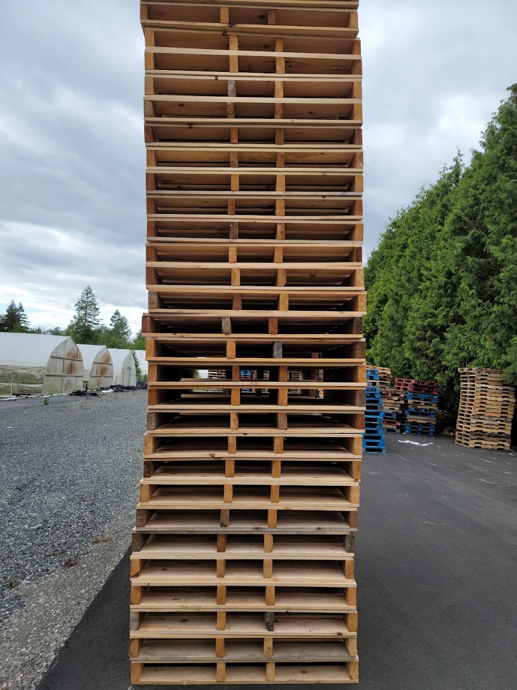 All Pallet Supplies inc | 7181 264 St, Langley Twp, BC V4W 1P8, Canada | Phone: (604) 613-4062