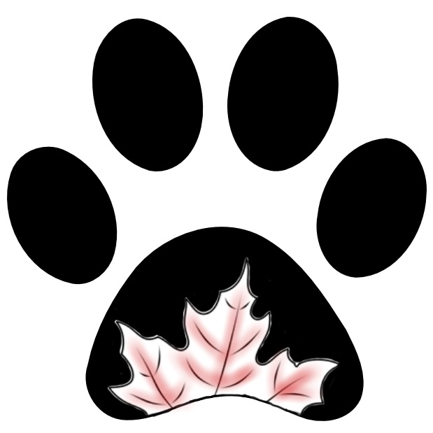 Maple Breeze Kennels Bernedoodles | 5466 Line 84, Listowel, ON N4W 3G9, Canada | Phone: (519) 496-6651