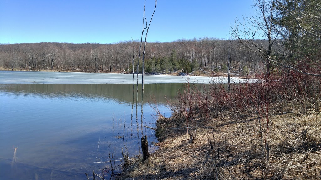 Noisy River Provincial Park | Creemore, ON L0M 1G0, Canada | Phone: (705) 429-2516