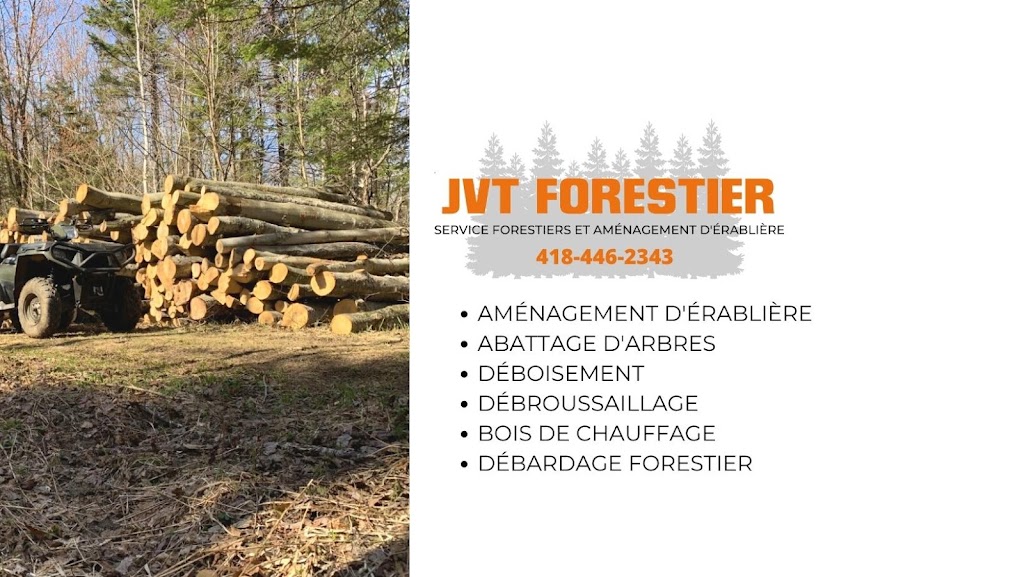 JVT Forestier | 13 Rue des Bouleaux, Sainte-Christine-dAuvergne, QC G0A 1A0, Canada | Phone: (418) 446-2343