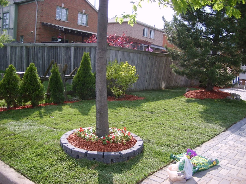 Greenerland Tree&Garden Services | 551 The West Mall, Etobicoke, ON M9C 1G7, Canada | Phone: (519) 504-7829