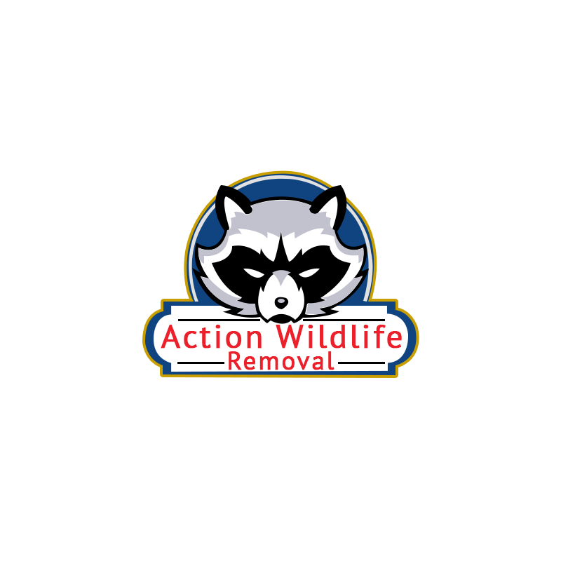 Action Wildlife Removal | 8208 Simcoe County Rd 1, Loretto, ON L0G 1L0, Canada | Phone: (647) 700-4948