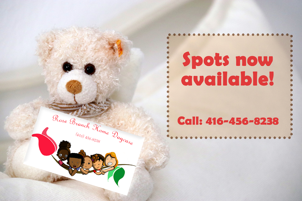 Rose Branch Home Daycare | 29 Rose Branch Dr, Richmond Hill, ON L4S 1J2, Canada | Phone: (416) 456-8238