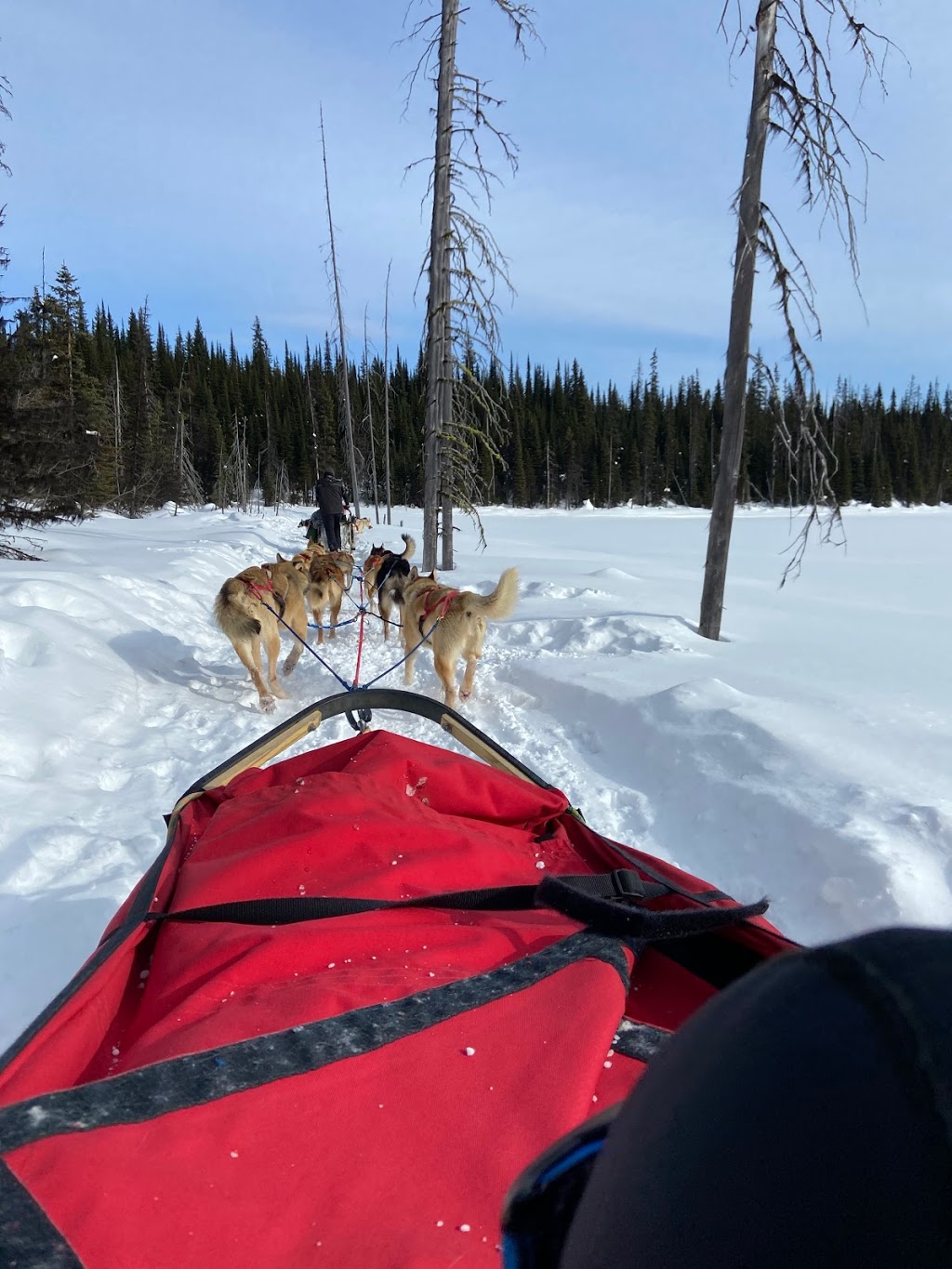 Mountain Man Dog Sled Adventures | 3250 Village Way, Sun Peaks, BC V0E 5N0, Canada | Phone: (250) 319-7205