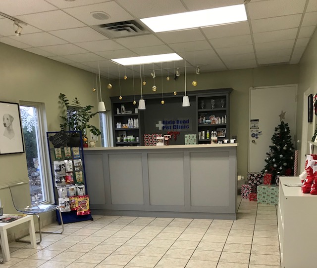 Dixie Road Pet Clinic | 10078 Dixie Rd, Brampton, ON L6R 0B1, Canada | Phone: (905) 792-3456