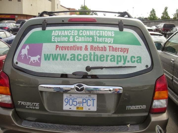 Advanced Connections Equine & Canine Therapy | 1163 Burnside Rd W, Victoria, BC V8Z 1N5, Canada | Phone: (250) 370-9951