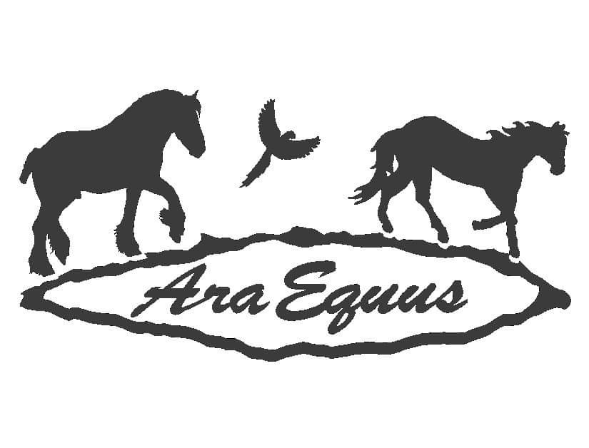 Ara Equus | 189 E Hungerford Rd, Tweed, ON K0K 3J0, Canada | Phone: (613) 970-1226