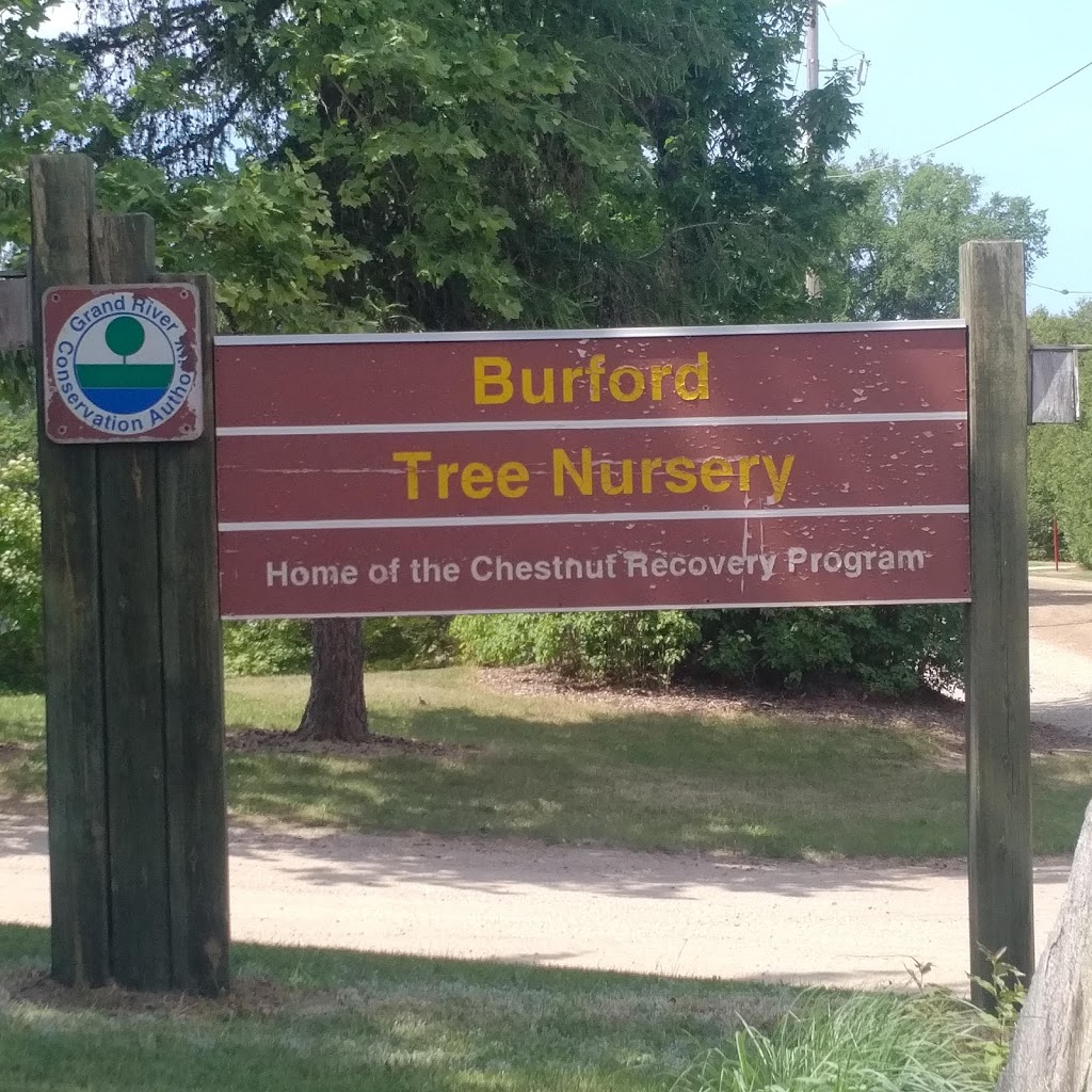 Burford Tree Nursery | 25 Wight Rd, Burford, ON N0E 1A0, Canada | Phone: (519) 449-2265