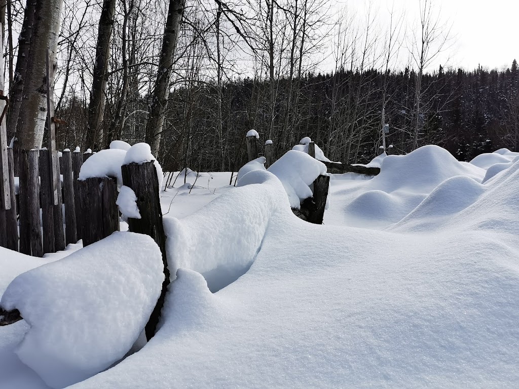 Societe Touristiques De LAnse | 370 Vieux-Chemin, Saint-Félix-dOtis, QC G0V 1M0, Canada | Phone: (418) 544-2263