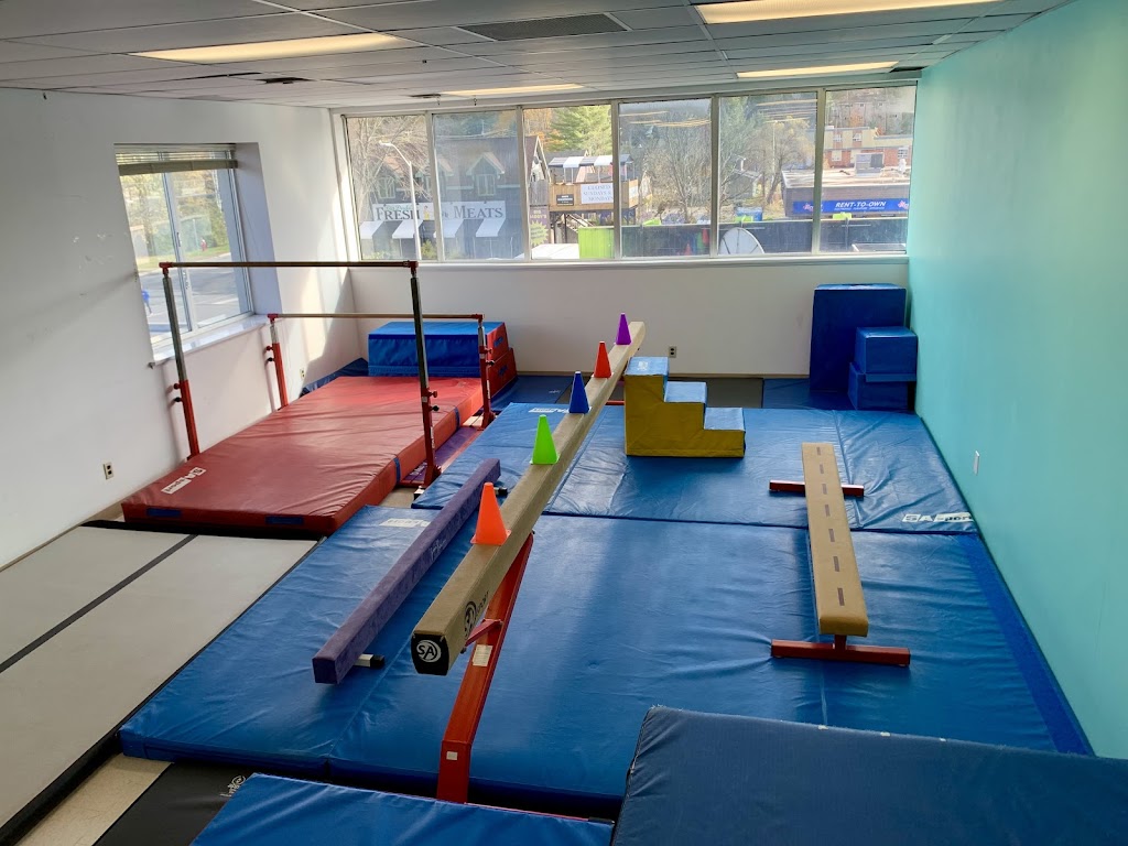 Huntsville Gymnastics Zone | 23 Manominee St, Huntsville, ON P1H 1H2, Canada | Phone: (705) 571-7512