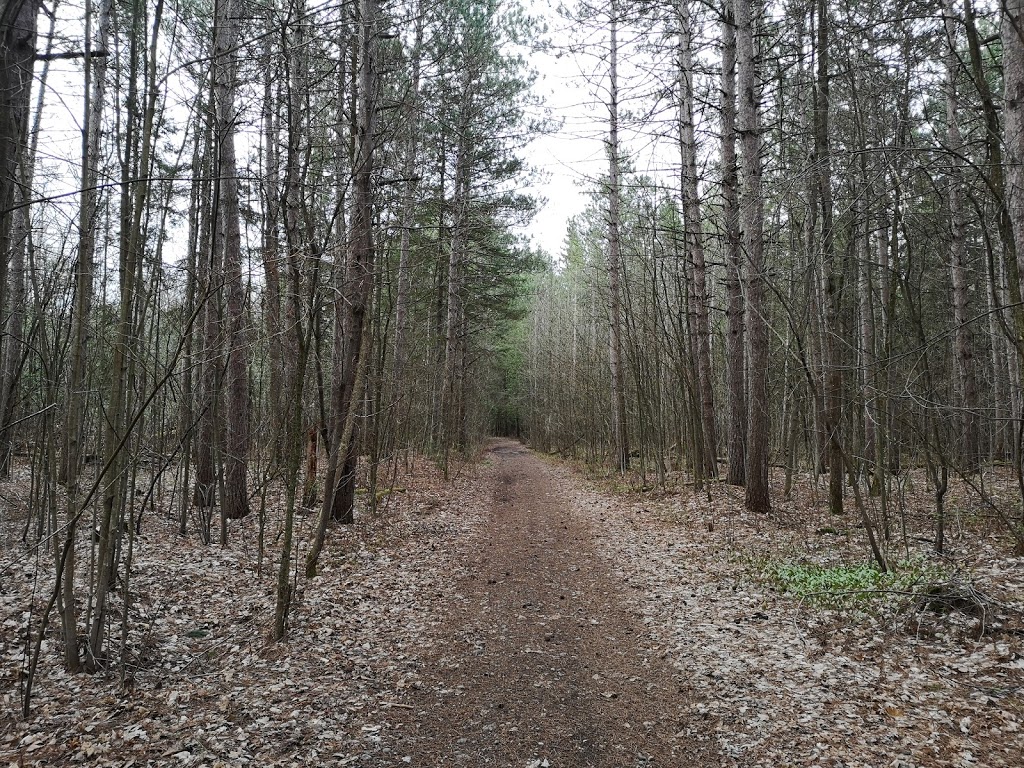 Warwick Forest Conservation Area | 15751 Berwick Rd, Berwick, ON K0C 1G0, Canada