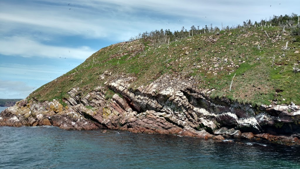 Witless Bay Islands Park Reserve | Division No. 1, Subd. U, NL, Canada