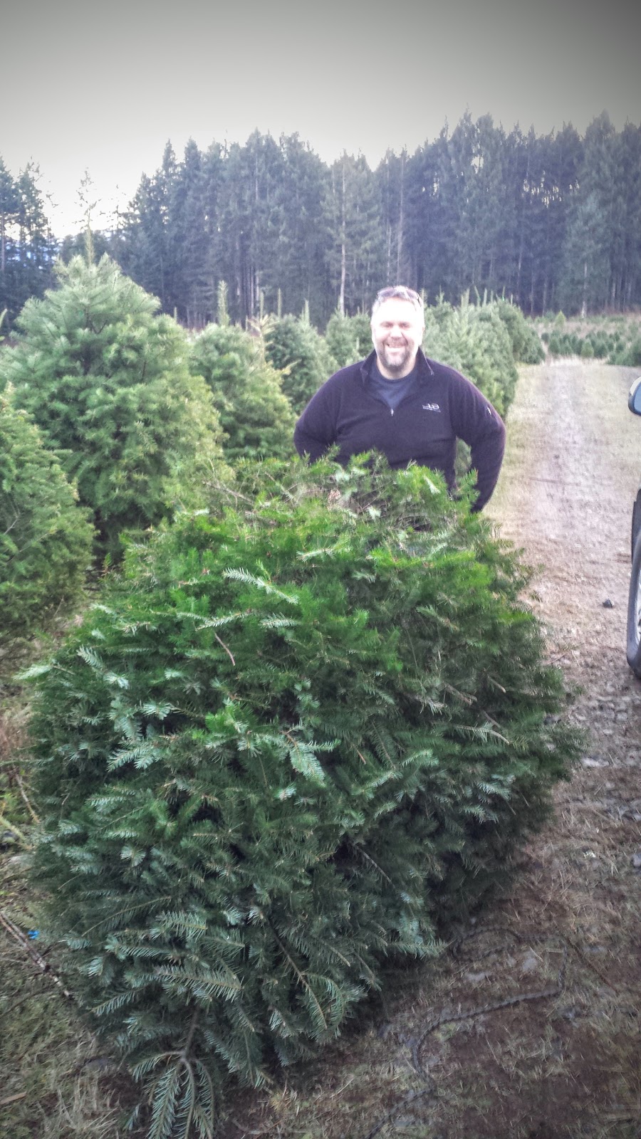 Gogos Christmas Tree Farm | 2625 S Forks Rd, Nanaimo, BC V9X 1H3, Canada | Phone: (250) 754-2276