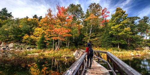 Earth Mama Acupuncture | 48 Main St, Montgomery Center, VT 05471, USA | Phone: (802) 851-0604