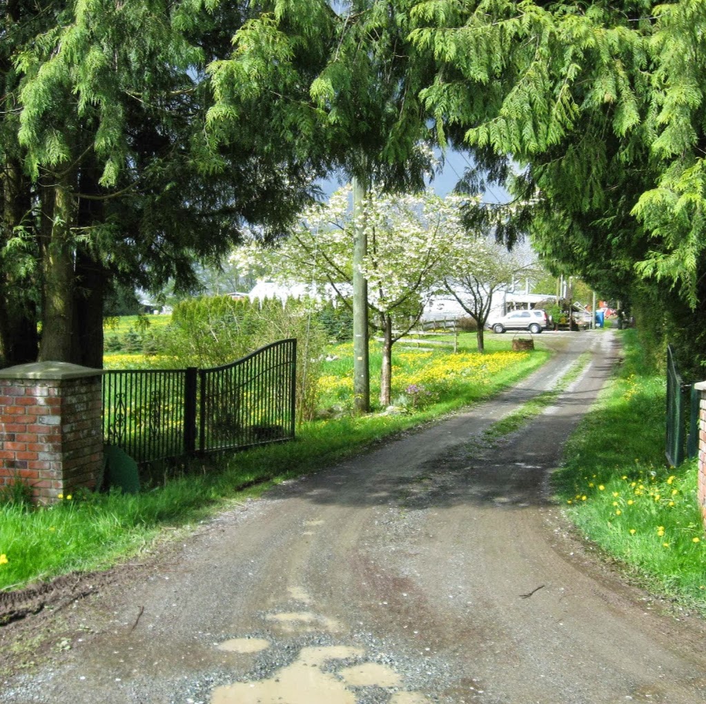 Cedarlane Farm | 2367 250 St, Aldergrove, BC V4W 2C7, Canada | Phone: (604) 856-1578