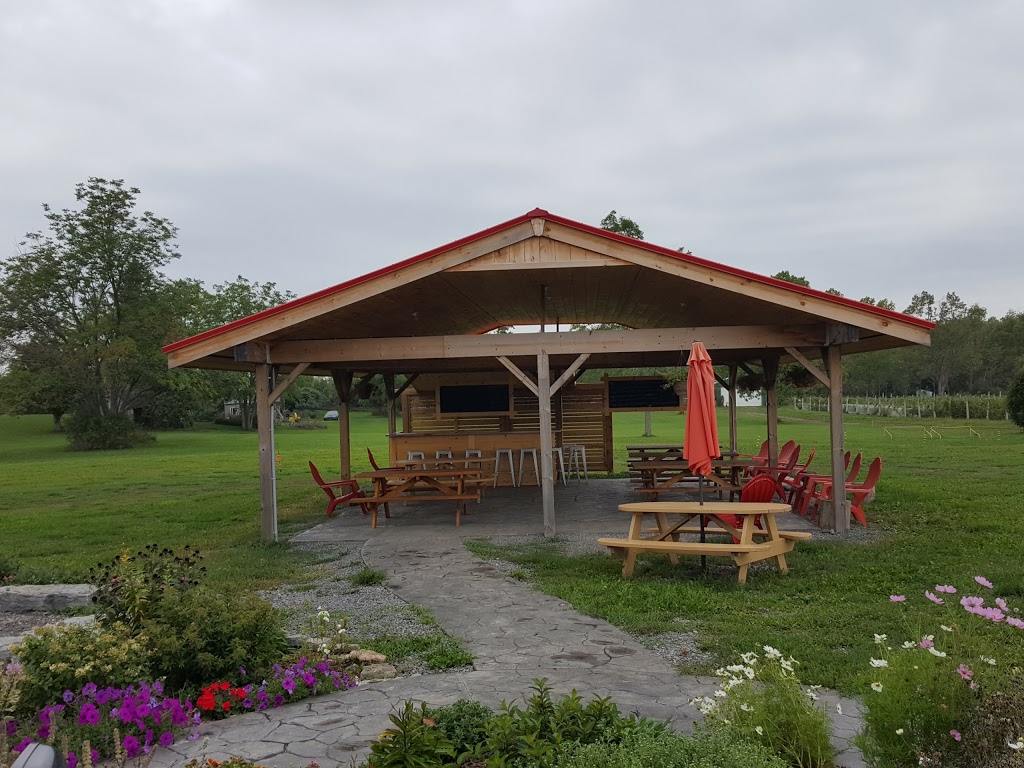 Sugarbush Vineyards & Winery | 1286 Wilson Rd, Hillier, ON K0K 2J0, Canada | Phone: (613) 399-9000