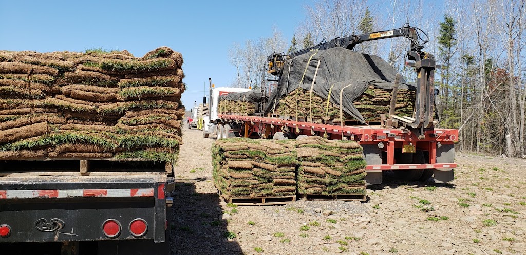 Audubon Organics | 400 Moncton St, Moncton, NB E1G 6G6, Canada | Phone: (506) 388-8111