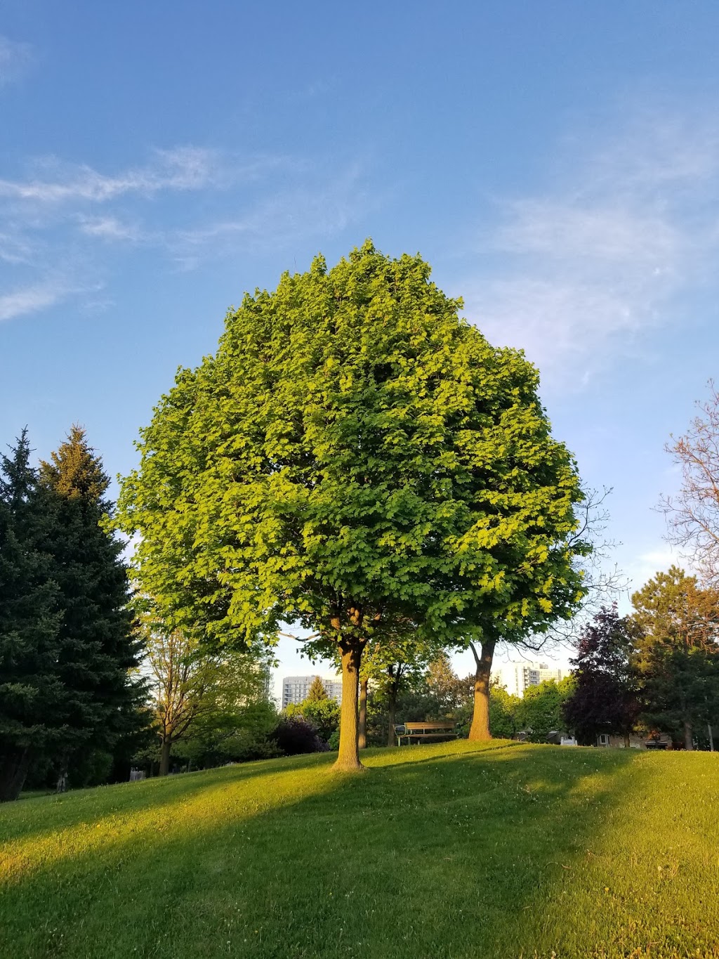 Winding Lane Park | Thornhill, Vaughan, ON L4J, Canada