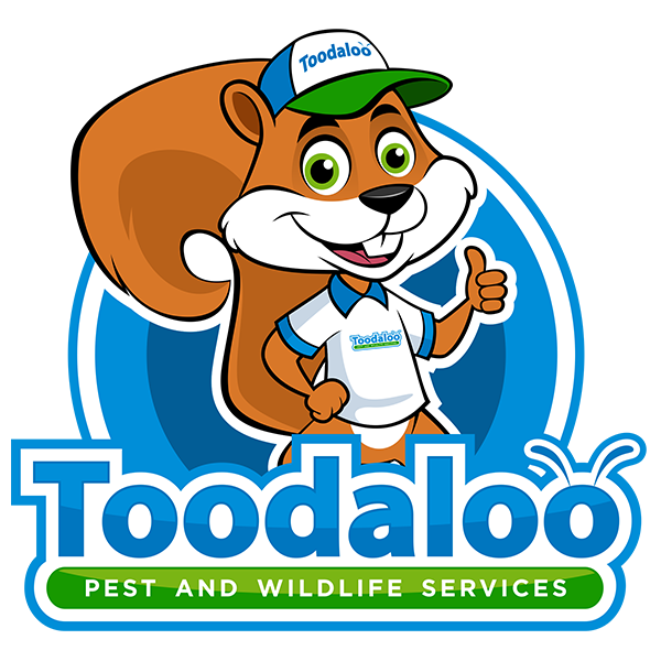 Toodaloo Pest Control | 17 Fawcett Rd #106b, Coquitlam, BC V3K 6V2, Canada | Phone: (844) 866-3256