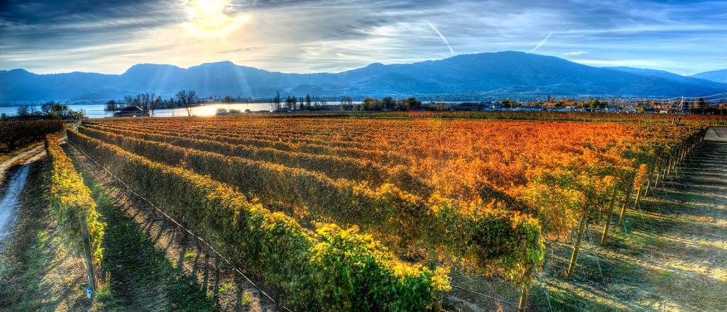 Lakeside Cellars | 5221 Lakeshore Dr Access Cellar Tasting Bar from, BC-3, Osoyoos, BC V0H 1V6, Canada | Phone: (250) 495-5810