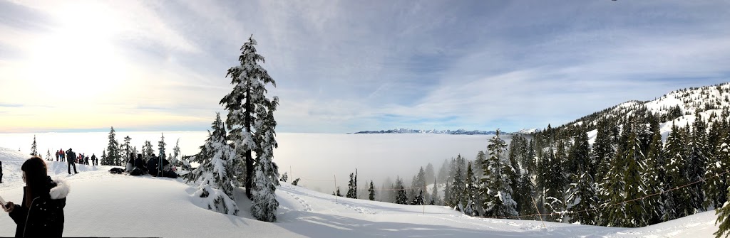 Mount Seymour Trail | Mount Seymour Trail, North Vancouver, BC V7G 1L3, Canada