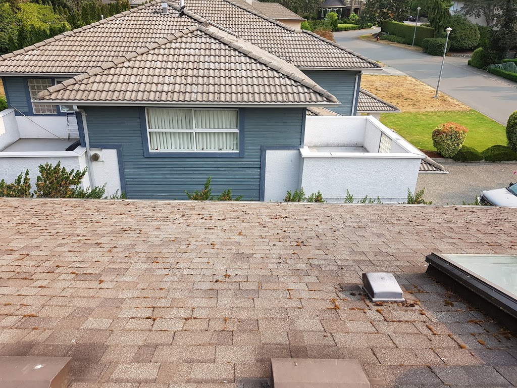 Roof Demossing Victoria | 504-707 Esquimalt Rd, Victoria, BC V9A 3L7, Canada | Phone: (778) 400-4724