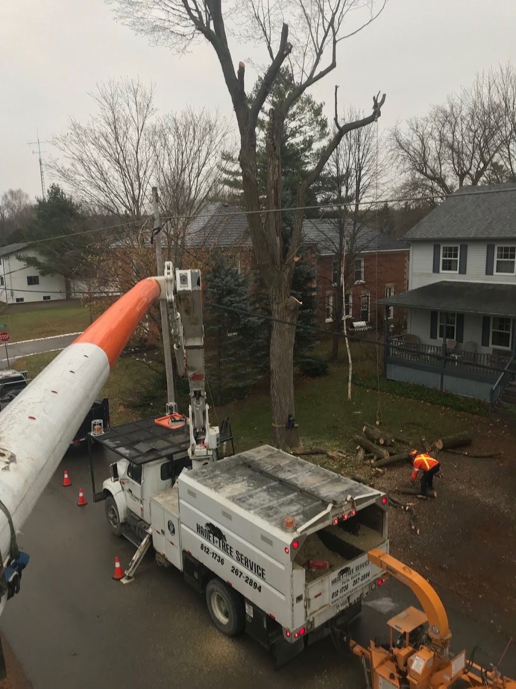 Hanet Tree Service | Frizell Rd, Perth, ON K7H 3C7, Canada | Phone: (613) 812-1736