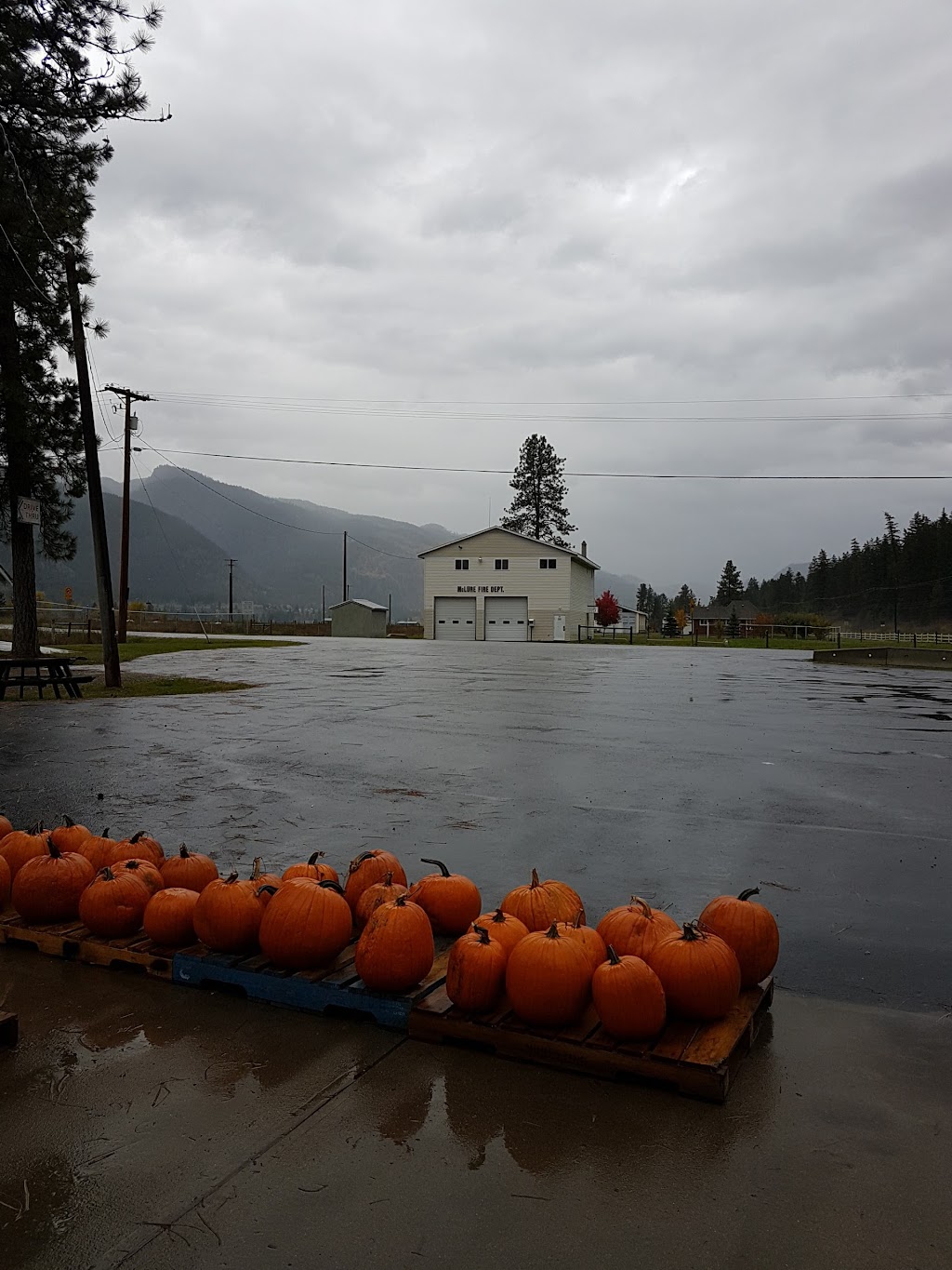 Carls Market Garden | 272 McLure Ferry Rd, McLure, BC V0E 2H0, Canada | Phone: (250) 672-9366