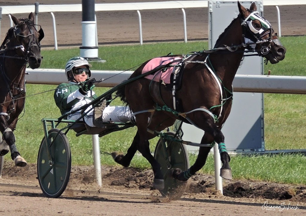 Alberta Standardbred Horse Association | 151 East Lake Boulevard Northeast, #207 NW Corner of the Vet Ag Bldg. Second floor, no, wheelchair access, Airdrie, AB T4A 2G1, Canada | Phone: (403) 263-7765