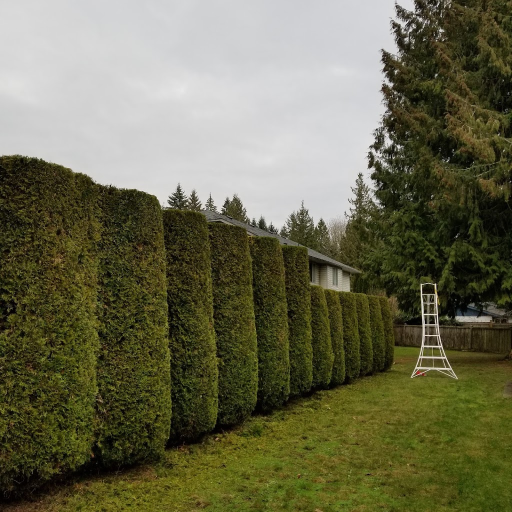 Barteks Lawncare & Landscaping | 2723 Toni Rd, Roberts Creek, BC V0N 2W4, Canada | Phone: (604) 741-3065