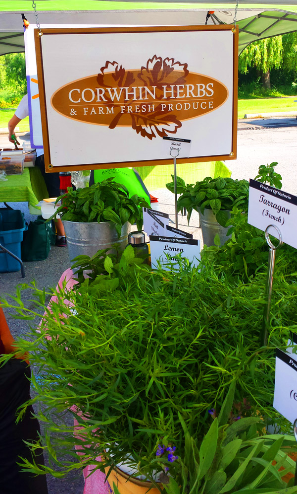 Corwhin Herbs and Produce | 4402 Concession Rd 11, Moffat, ON N0B 2J0, Canada | Phone: (519) 223-1287