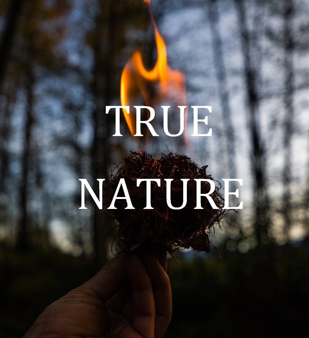 True Nature Counseling- Matthew Fogarty | 2582 N Shore Rd, Bellingham, WA 98226, USA | Phone: (202) 810-5360