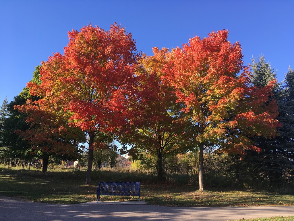 Allan Kerbel Park | Brickyard Way, Brampton, ON L6V 4L9, Canada