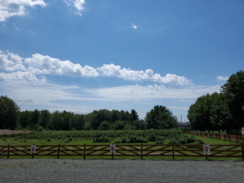 La Bleuetière et Erablière Giard | 15 Chemin Giard, Granby, QC J2H 0T1, Canada | Phone: (450) 372-6320