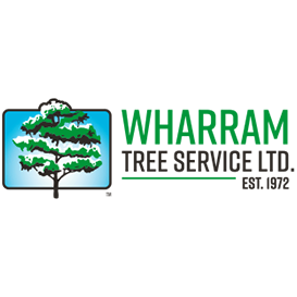 Wharram Tree Service Ltd. | 7790 Telephone Rd, Cobourg, ON K9A 4J7, Canada | Phone: (905) 372-4233