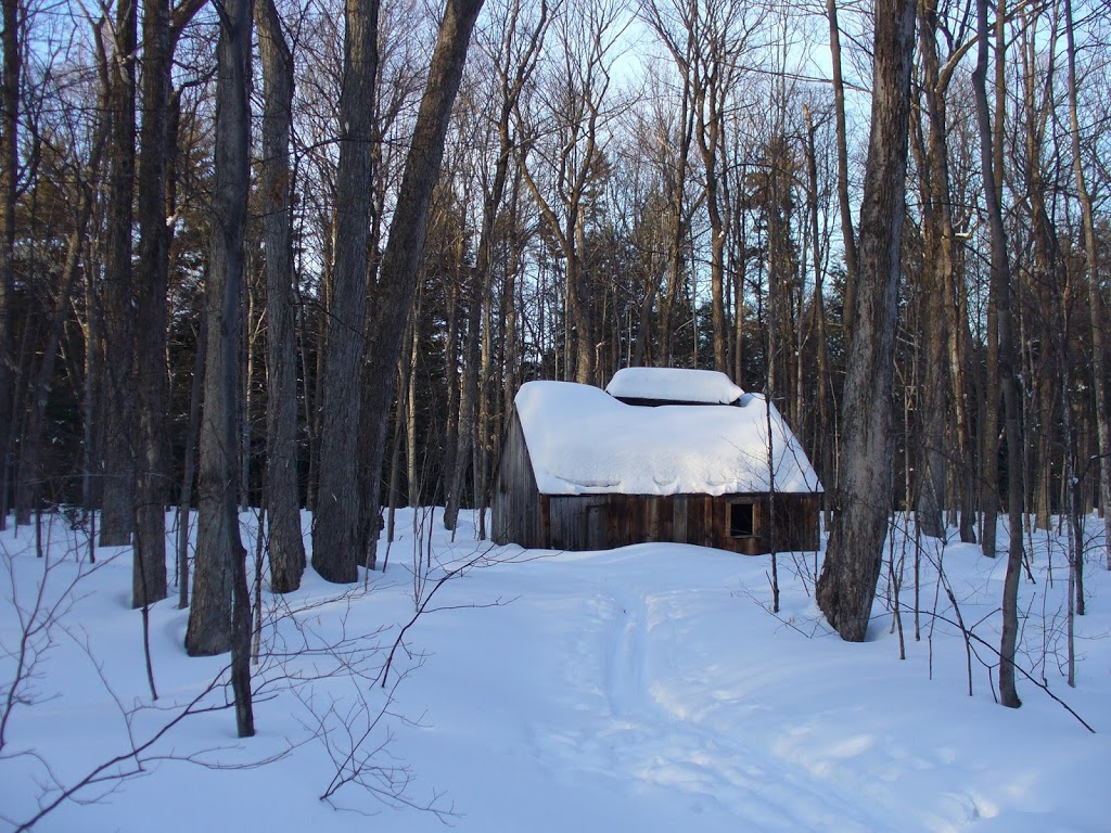 Cabane à sucre Gagnon | 270 1ere Avenue, Sainte-Anne-des-Plaines, QC J0N 1H0, Canada | Phone: (450) 478-2090