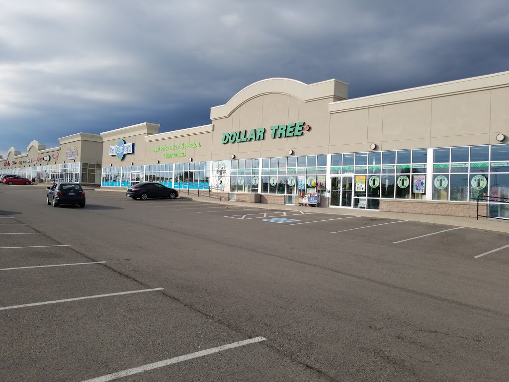 Dollar Tree | 100 Dundas St E, Waterdown, ON L0R 2H2, Canada | Phone: (905) 690-1551