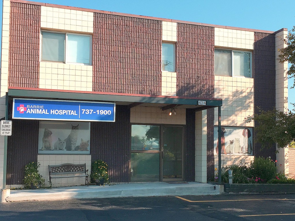 Barrie Animal Hospital | 424 Dunlop St W, Barrie, ON L4N 1C2, Canada | Phone: (705) 737-1900