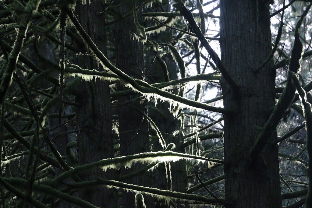 Mount Parke Regional Park - Main Parking Lot | Montrose Rd, Mayne Island, BC V0N 2J2, Canada