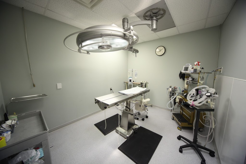 Terra Losa Animal Clinic | 17248 95 Ave NW, Edmonton, AB T5T 6P1, Canada | Phone: (780) 484-1178