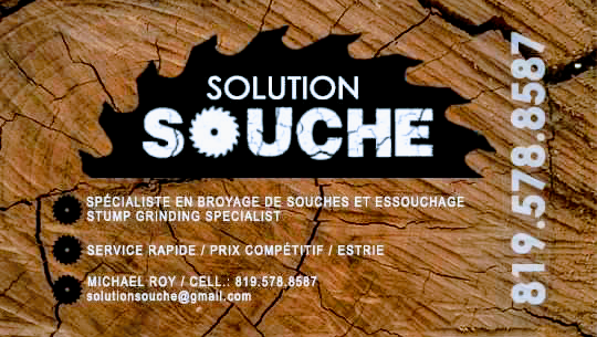 Solution souche | 1085 Rue Sanborn, Ayers Cliff, QC J0B 1C0, Canada | Phone: (819) 578-8587